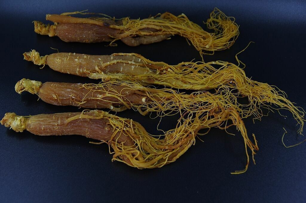 Asian Panax Red Korean Ginseng Whole Root HAIRS,6 Years CHINA TCM Health Herbal