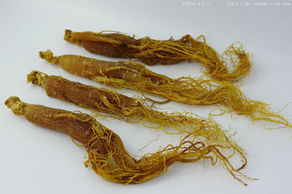 Korean Red Ginseng,6 yers Whole Roots hairs,seng Root,PURE Grade man herbal TCM