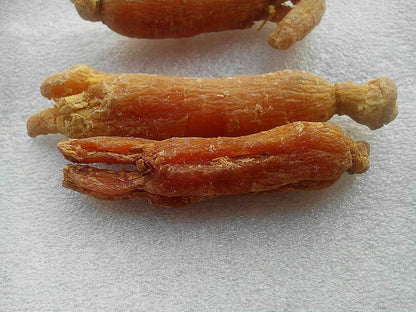 Asian KOREAN PANAX RED GINSENG ren shen ROOTS,China Herbal 6 years,free shipping