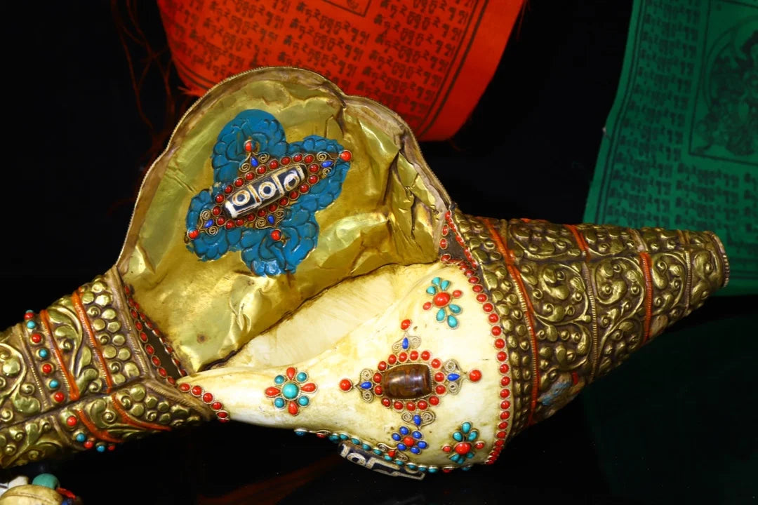 20"Tibetan Temple Collection Old Natural Conch Mosaic Gem gZi Beads Left handed screw Conch Amulet Dharma Worship Hall Town hous