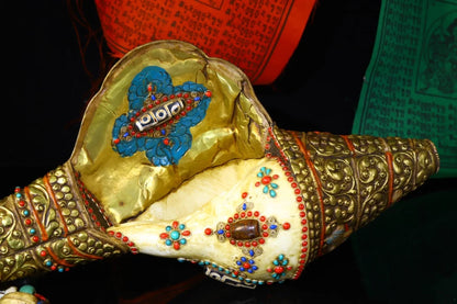20"Tibetan Temple Collection Old Natural Conch Mosaic Gem gZi Beads Left handed screw Conch Amulet Dharma Worship Hall Town hous
