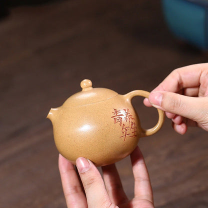 200ml Chinese Yixing Purple Clay Teapots Handmade Xi Shi Tea Pot Raw Ore Section Mud Kettle High-end Zisha Tea Set Collection