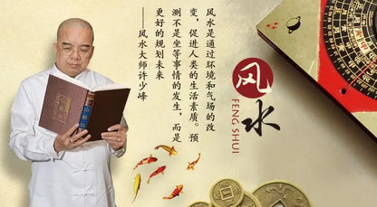 2022 Geomantic omen master TAI SUI Amulet Card bless safe health Bring good luck exorcise evil spirit multipurpose talisman 2P