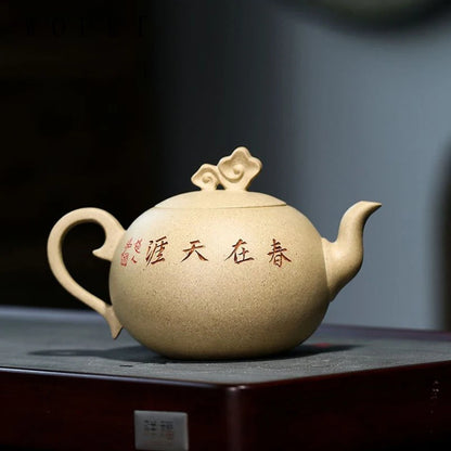 260ml Chinese Yixing Purple Clay Teapots Hand Painted Flowers and Birds Pattern Xishi Tea Pot Beauty Kettle Master Zisha Tea Set