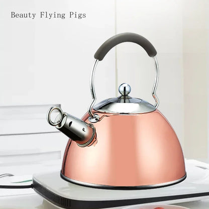 3L High Quality Whistle Teapot Rust Stainless Steel Gas Electric Stove Kettle Water Teapot Camping Portable Heating Teapot