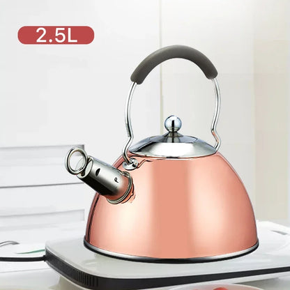 3L High Quality Whistle Teapot Rust Stainless Steel Gas Electric Stove Kettle Water Teapot Camping Portable Heating Teapot