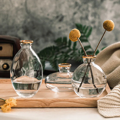 3Pcs Classic Creative Vase Top Quality Grass Black Transparent Home Deco Reagent Bottle Flower Vase Factory Wholesale