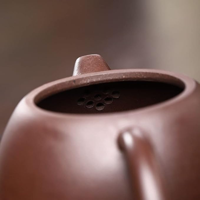 Tea pot 9.5oz Chinese Yixing Clay Dragon Genuine Zisha Tea Infuser for Loose Tea Kettle (Black) (Black)