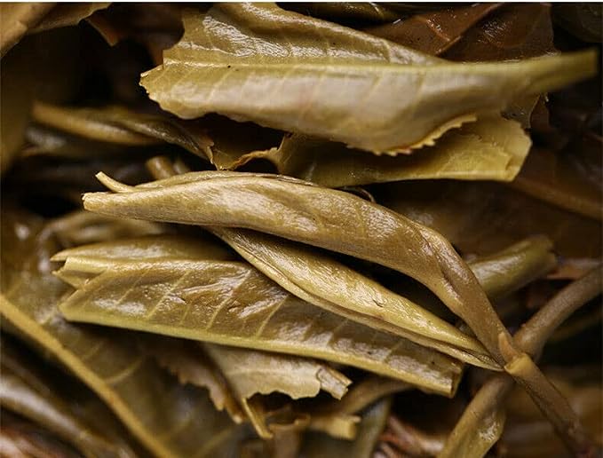 Haiwan High Mountain Puerh Tea Ancient Tree Comrade Batch 191 Raw Puer Tea 500g