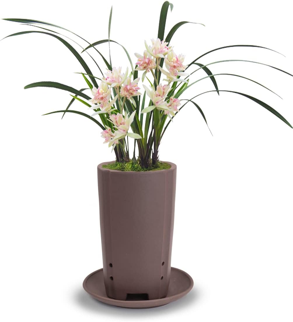 Dahlia 5.3" Beautiful Land Zisha Bonsai Planter/Succulent Pot/Flower Pot w. Saucer, Dark Brown