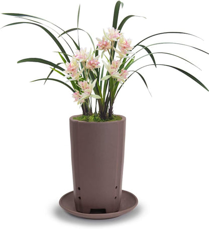 Dahlia 5.3" Beautiful Land Zisha Bonsai Planter/Succulent Pot/Flower Pot w. Saucer, Dark Brown