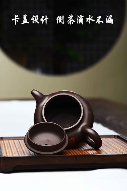 Handmade Zisha Teapot, Chinese Yixing Purple Clay Tea Pot 310cc,Chinese Kungfu Brew Infuser Loose Leaf Tea