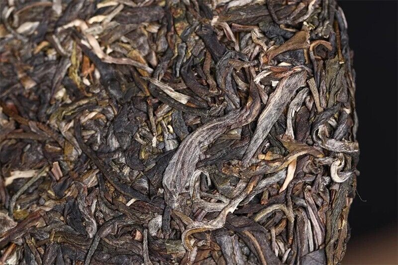 2020 Haiwan Yi Wu Zheng Shan Sheng Puer Tea Ma Hei Famous Old Tree Pu'erh 500g