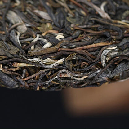 2023 Yunnan Haiwan YiWu zheng shan Puer Tea Ma Hei RAW Old Tree Pu'erh tee,500g