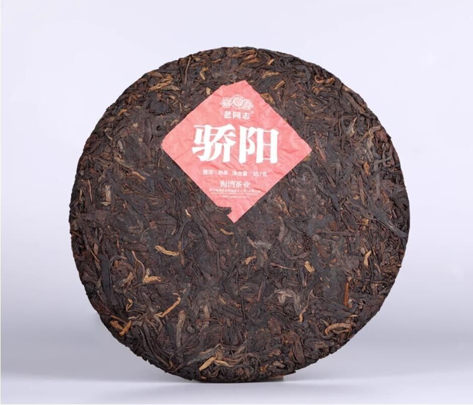 普洱 2020 pu erh Haiwan Blazing Sun Ripe Puerh Chinese Tee Jiao Yang Puer Tea 357g