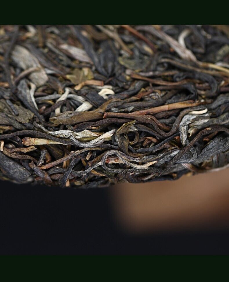 2023 Haiwan lao tong zhi YiWu zheng Puer Tea Ma Hei RAW Old Tree Pu'erh tee,500g