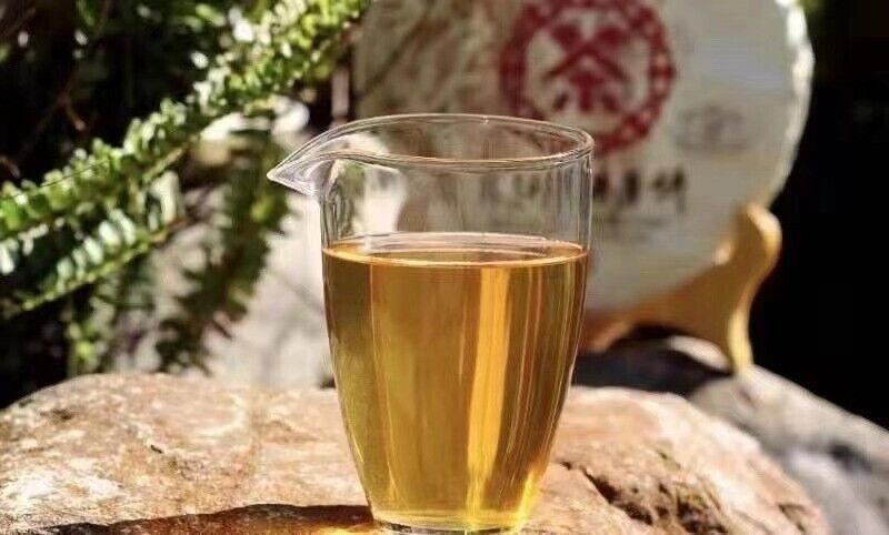 yunnan ChinaTea BING DAO SHAN iceland Cake Pu'er 2018 Pu-erh Tea Raw Tee,普洱 370g