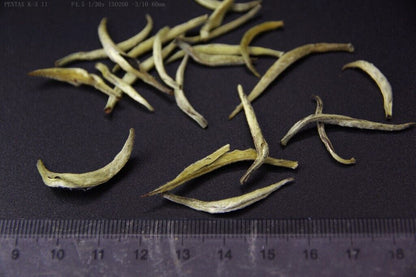 Bai Hao Yin Zhen Tea Chinese Organic Silver Needle White Loose Leaf Buds 白毫银针茶