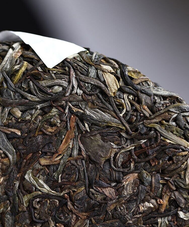 2020 Haiwan LAO TONG ZHI 201 Old Comrade 7548 Pu-erh Tea Cake RAW puer tee 357g