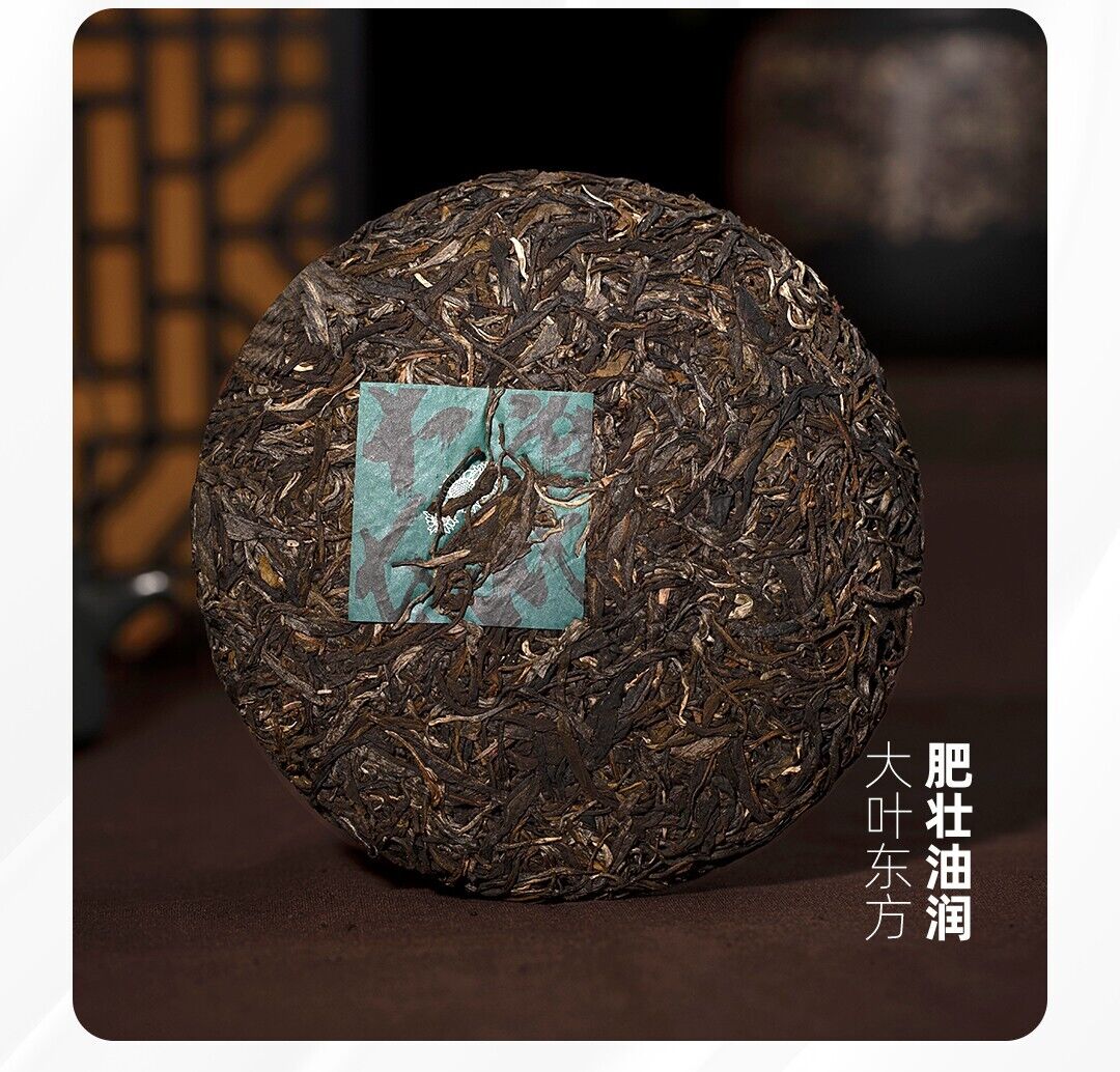 2023 pu erh Old Comrade DA YE DONG FANG RAW Puerh Tee Puer big leaf Tea 普洱茶,357g