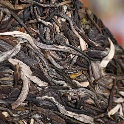 2019 Puer Tea HAIWAN lao tong Old Comrade Zhu Yuan Yu Run Pu-erh Tee Cake 400g