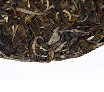 2021 Haiwan lao tong zhi Bulang qizi Puer Tea RAW batch 211 pu Pu'erh tee,357g