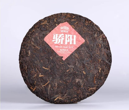 357g,Haiwan Old Comrade Blazing Sun Ripe Pu erh Puer Tea 1st Class Jiao Yang 普洱茶