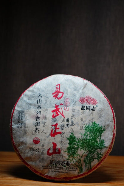 2023 Haiwan lao tong zhi YiWu zheng Puer Tea Ma Hei RAW Old Tree Pu'erh tee,500g