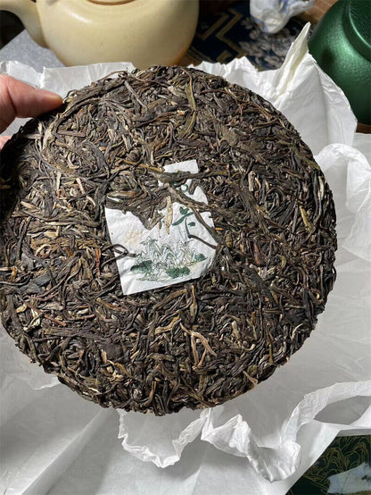 357g,2022 Yunnan XIN YI HAO NaKa raw puerh tea puer Spring green tree er 新益号普洱茶