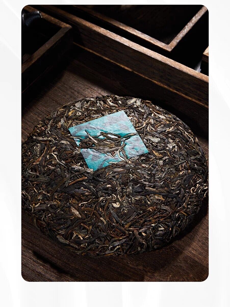 2023 pu erh Old Comrade DA YE DONG FANG RAW Puerh Tee Puer big leaf Tea 普洱茶,357g