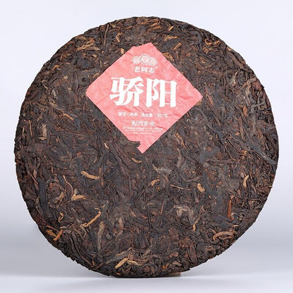 普洱 2020 pu erh Haiwan Blazing Sun Ripe Puerh Chinese Tee Jiao Yang Puer Tea 357g