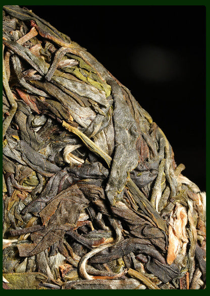 357g,2022 Yunnan XIN YI HAO NaKa raw puerh tea puer Spring green tree pu er 普洱茶