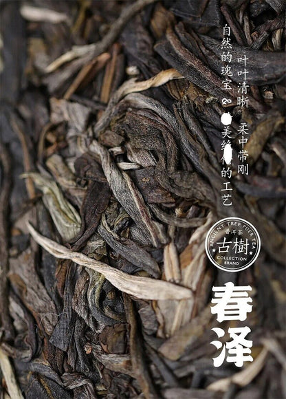 2021 HaiWan Lao Tong Zhi Chunze old tree RAW Puer Tea Cake pu er erh,老同志普洱茶 357g