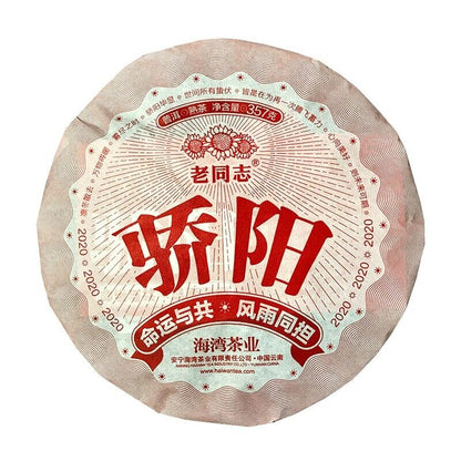 357g,Haiwan Old Comrade Blazing Sun Ripe Pu erh Puer Tea 1st Class Jiao Yang 普洱茶