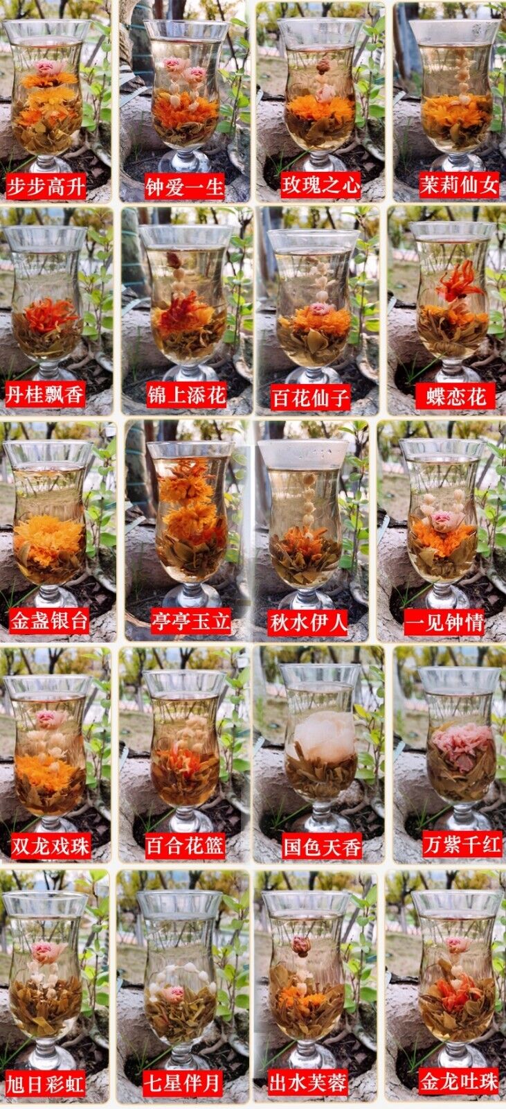 20Pcs, Different Handmade Blooming TEA,Artistic flowering Green Flower ball tee