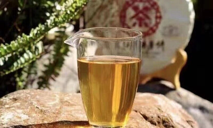 yunnan ChinaTea BING DAO SHAN old green Cake Pu'er 2018 Pu-erh Tea Raw Tee,370g