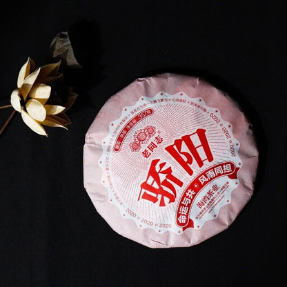 357g,Haiwan Old Comrade Blazing Sun Ripe Pu erh Puer Tea 1st Class Jiao Yang 普洱茶
