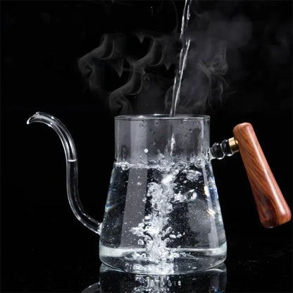 600ml Heat Resistant Clear Glass Tea Coffee Kettle Gooseneck Thin Spout for Pour Over Coffee Pot Stovetop Microwave Safe Teapot