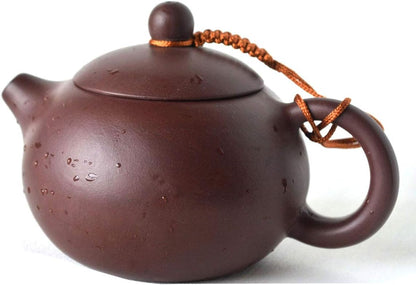 Teapot 5oz Chinese Yixing Zisha XIshi Beauty Pots Zini Infusers Loose Tea