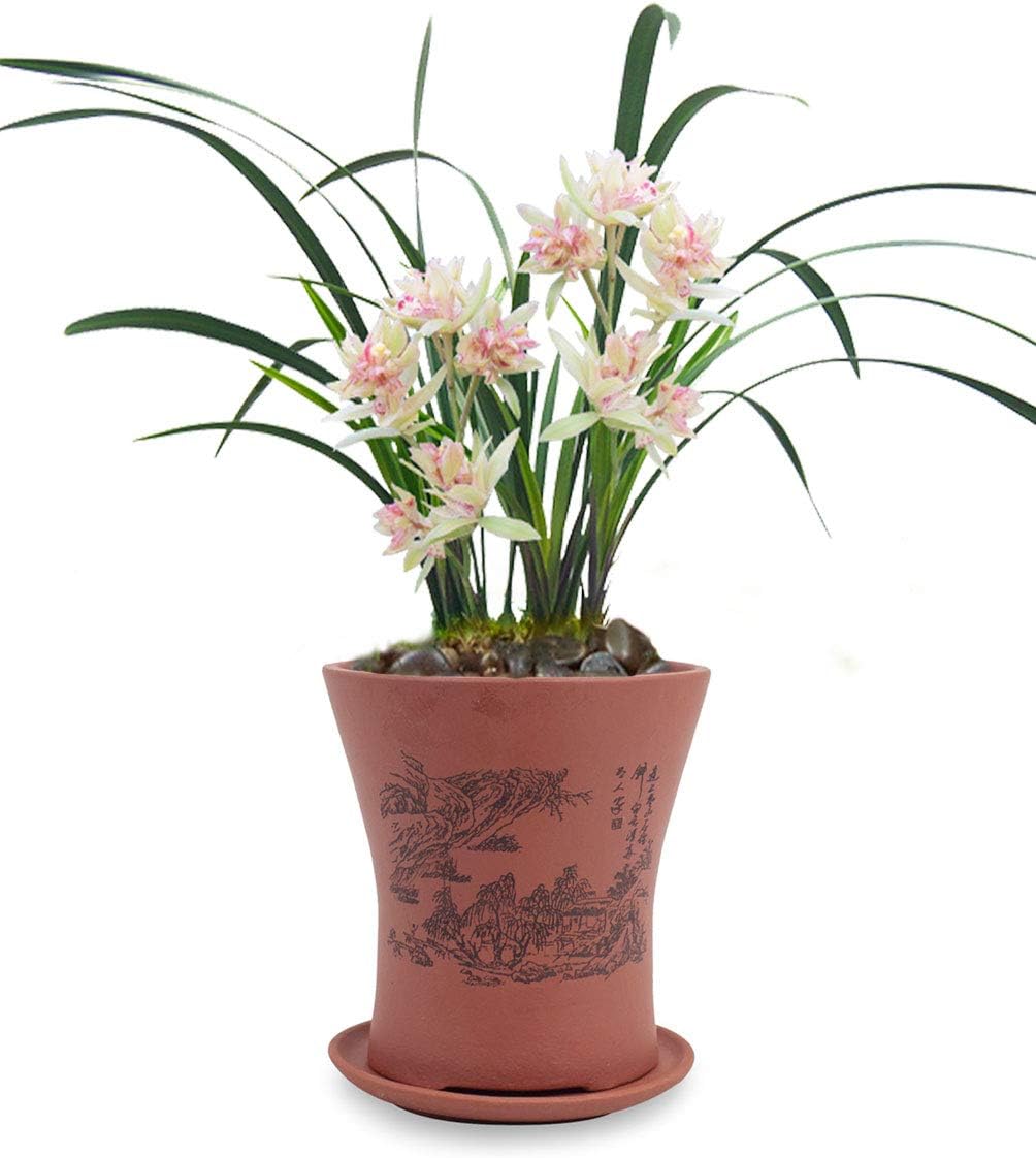 Dahlia 5.3" Beautiful Land Zisha Bonsai Planter/Succulent Pot/Flower Pot w. Saucer, Dark Brown