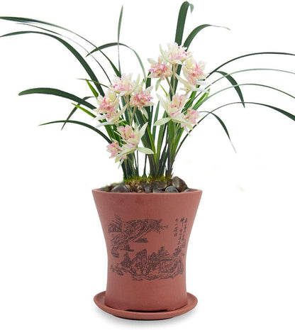 Dahlia 5.3" Beautiful Land Zisha Bonsai Planter/Succulent Pot/Flower Pot w. Saucer, Dark Brown