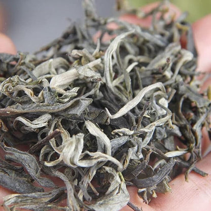 Organic Raw Tea Health Benefits Ancient Tree Pu-erh Tea Bulk Green Tea 500g