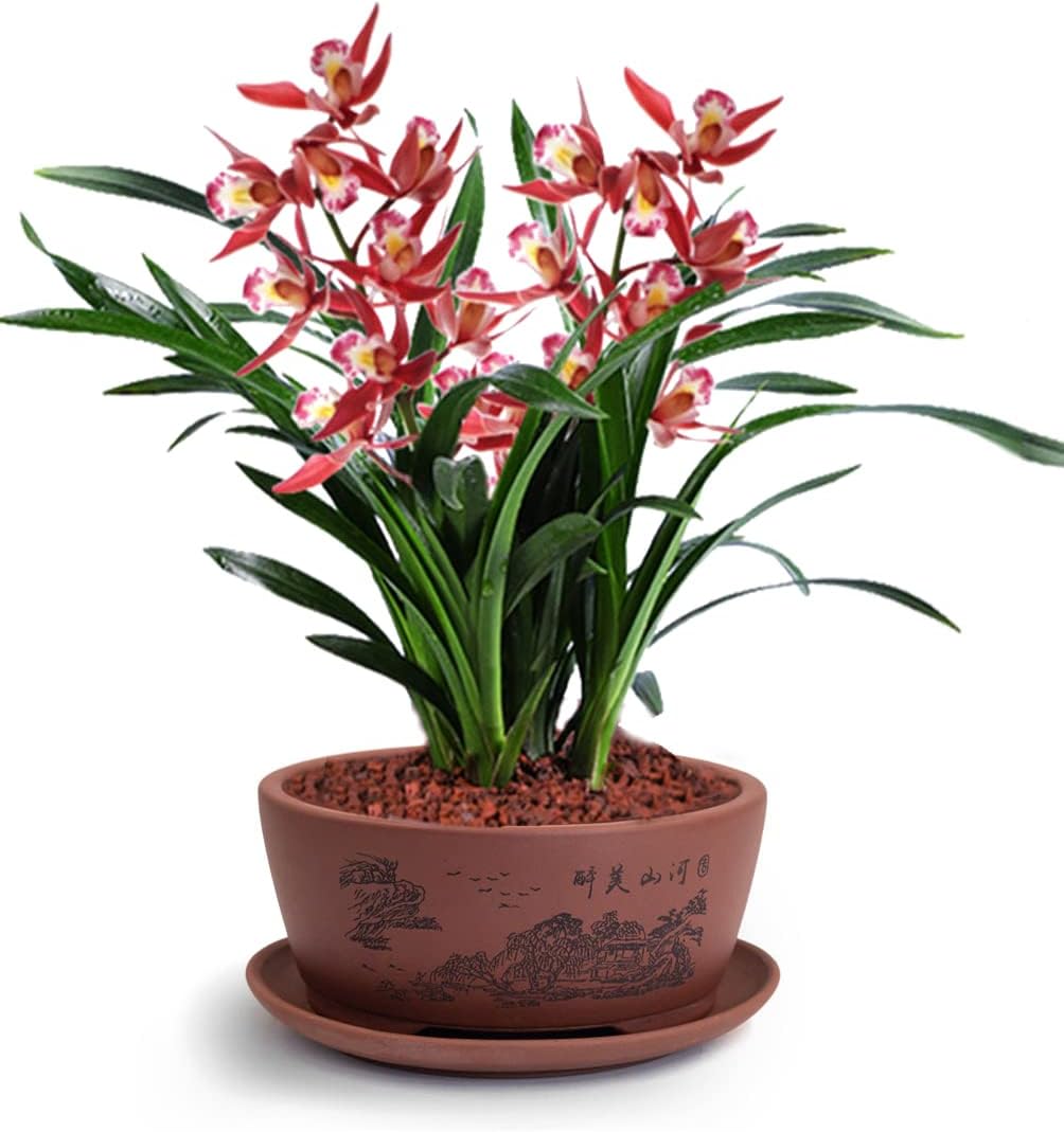 Dahlia 5.3" Beautiful Land Zisha Bonsai Planter/Succulent Pot/Flower Pot w. Saucer, Dark Brown