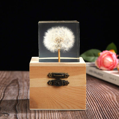 Real Dandelion specimen Paperweight （2x2x2 Inch）