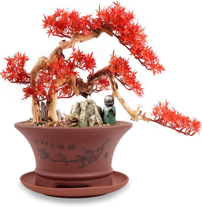 Dahlia 5.3" Beautiful Land Zisha Bonsai Planter/Succulent Pot/Flower Pot w. Saucer, Dark Brown