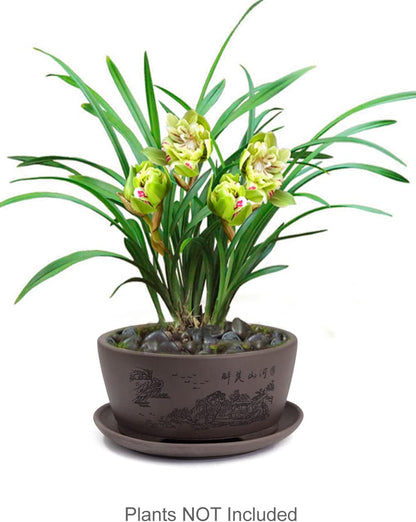 Dahlia 5.3" Beautiful Land Zisha Bonsai Planter/Succulent Pot/Flower Pot w. Saucer, Dark Brown