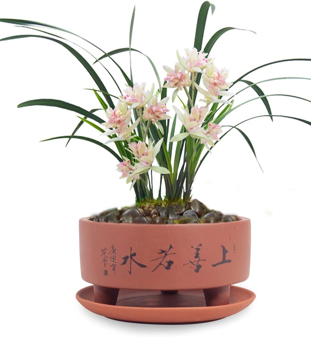 Dahlia 5.3" Beautiful Land Zisha Bonsai Planter/Succulent Pot/Flower Pot w. Saucer, Dark Brown