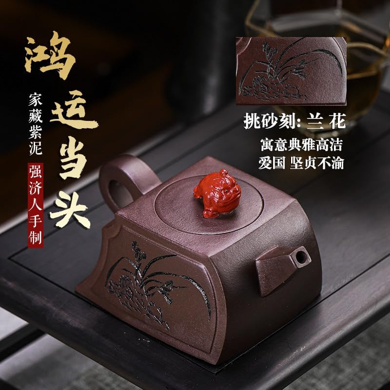 Handmade Zisha Teapot, Chinese Yixing Purple Clay Tea Pot 280cc,Chinese Kungfu Brew Infuser Loose Leaf Tea
