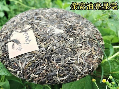 Zhonghong Yin Bow Ancient Tree Tea Yiwu Wanggong Pu-Erh Spring Tea Cake 357g