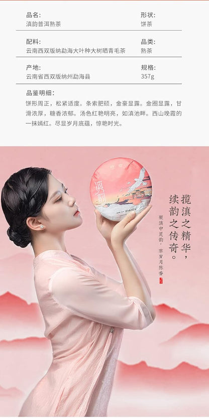 Pu-erh 普洱,大益 TAETEA,顛韵,2020y,357g,Ripe